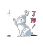 うさぎのポポちゃん（個別スタンプ：34）