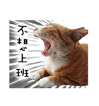 Fat Cat Save World（個別スタンプ：3）