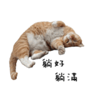 Fat Cat Save World（個別スタンプ：5）