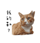 Fat Cat Save World（個別スタンプ：10）