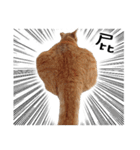 Fat Cat Save World（個別スタンプ：12）