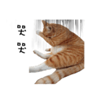 Fat Cat Save World（個別スタンプ：13）