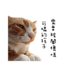 Fat Cat Save World（個別スタンプ：18）