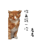 Fat Cat Save World（個別スタンプ：20）