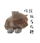 Fat Cat Save World（個別スタンプ：23）