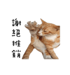 Fat Cat Save World（個別スタンプ：25）