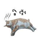 Fat Cat Save World（個別スタンプ：27）