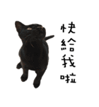 Fat Cat Save World（個別スタンプ：32）