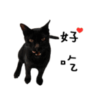 Fat Cat Save World（個別スタンプ：33）