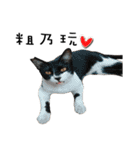 Fat Cat Save World（個別スタンプ：40）