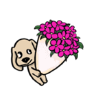Lovely and funny dogs Sticker2（個別スタンプ：9）