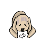 Lovely and funny dogs Sticker2（個別スタンプ：12）