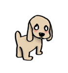Lovely and funny dogs Sticker2（個別スタンプ：17）