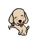 Lovely and funny dogs Sticker2（個別スタンプ：22）