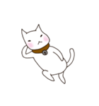 A white cat Goni.（個別スタンプ：1）
