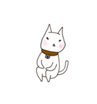 A white cat Goni.（個別スタンプ：4）