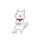 A white cat Goni.（個別スタンプ：6）