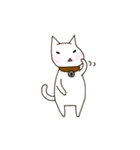 A white cat Goni.（個別スタンプ：7）
