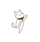 A white cat Goni.（個別スタンプ：8）