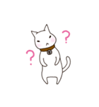 A white cat Goni.（個別スタンプ：9）