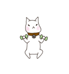 A white cat Goni.（個別スタンプ：14）