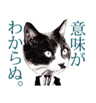 ダンディなネコ課長＜シュールに返信♪＞（個別スタンプ：7）