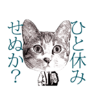 ダンディなネコ課長＜シュールに返信♪＞（個別スタンプ：21）