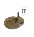 Rabbit King potato（個別スタンプ：14）