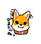 柴犬ぽちこ（個別スタンプ：3）