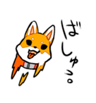 柴犬ぽちこ（個別スタンプ：11）