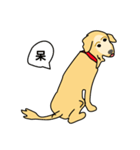 old A-di dog（個別スタンプ：9）