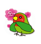 インコたち（個別スタンプ：12）