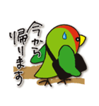 インコたち（個別スタンプ：14）