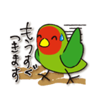 インコたち（個別スタンプ：15）