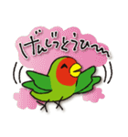 インコたち（個別スタンプ：22）