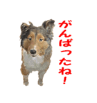ウィルの日常（個別スタンプ：27）
