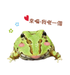 little jinbao（個別スタンプ：3）