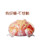 little jinbao（個別スタンプ：6）