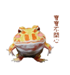 little jinbao（個別スタンプ：7）