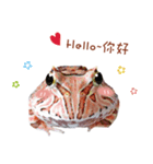 little jinbao（個別スタンプ：8）