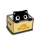 mew mew blacky 6（個別スタンプ：1）