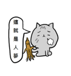 Cat Family 2-pop words（個別スタンプ：20）