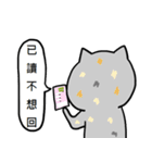 Cat Family 2-pop words（個別スタンプ：34）