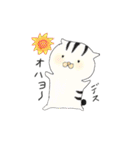 ねこの しままる（個別スタンプ：1）