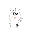 ねこの しままる（個別スタンプ：24）