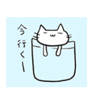 みにねこ（個別スタンプ：13）