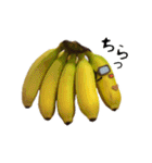 バナナのバナ平（実写）（個別スタンプ：1）