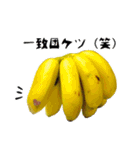 バナナのバナ平（実写）（個別スタンプ：3）