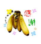 バナナのバナ平（実写）（個別スタンプ：7）