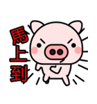 Stupid Pig（個別スタンプ：14）